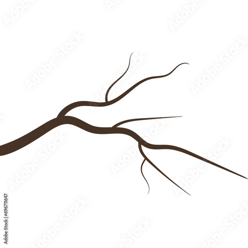 Wood Branch Illustration