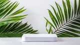 Island Oasis: A White Podium Bathes in Sun-Kissed Palm Shadows, Ready for Your Tropical Product Showcase.