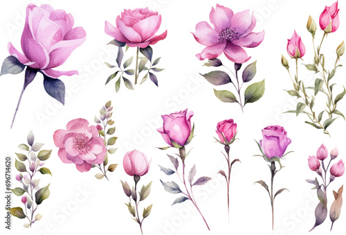 pink and white tulips #696714620