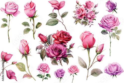 seamless pattern with pink roses