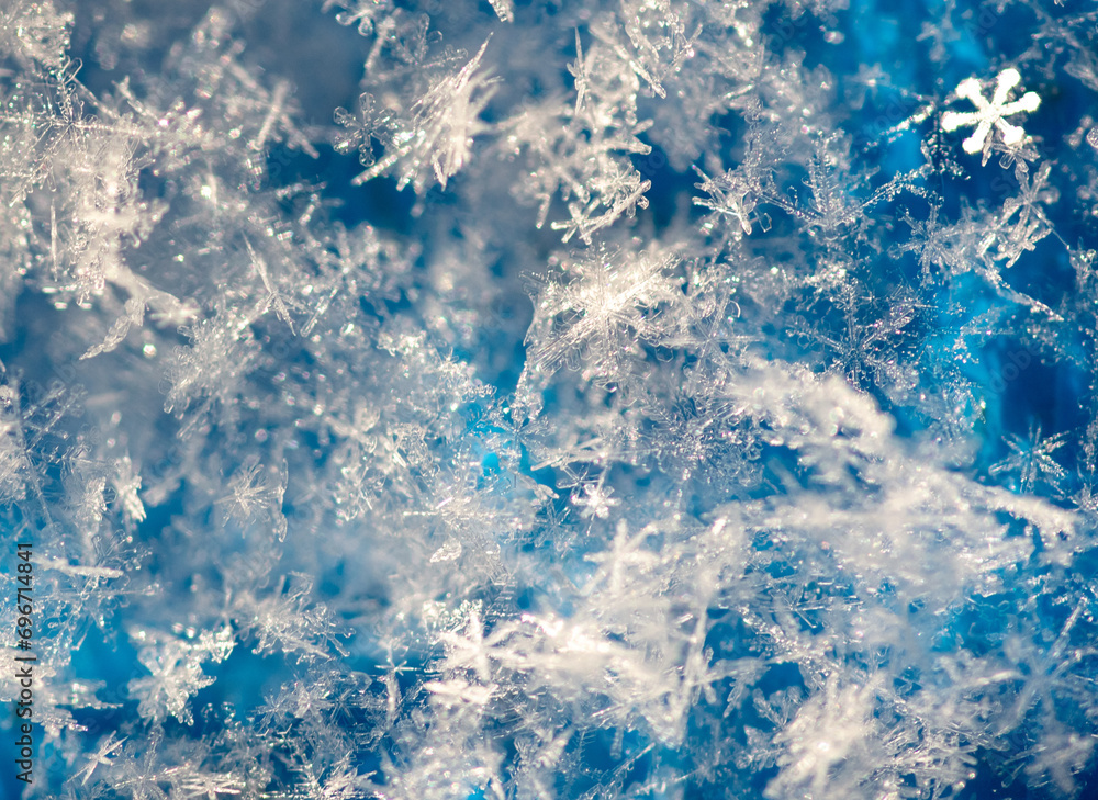 Fototapeta premium Close-up of snowflakes on a blue background. Macro