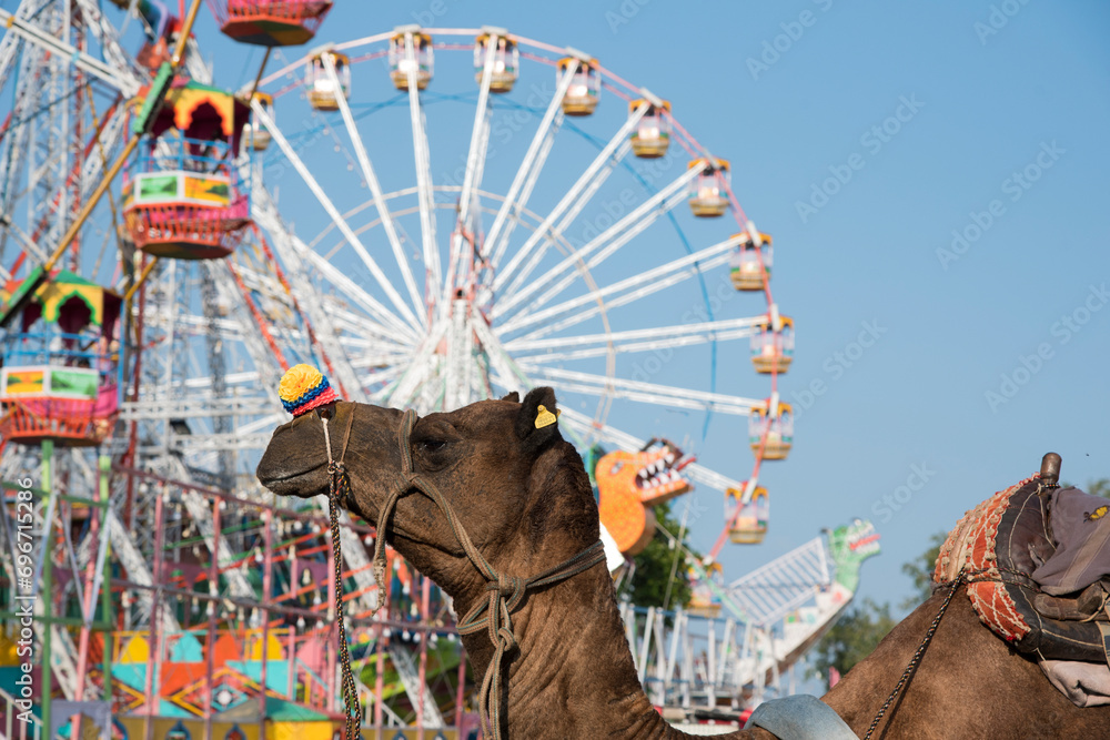 Scene from Pushkar camel fair India, the largest cattle fair in Asia.