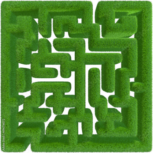labyrinth from grass. Grass...