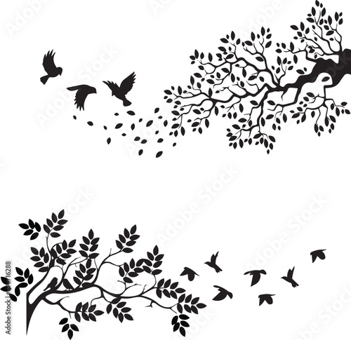 black and white butterflies-bird, silhouette, eagle, vector, flying, illustration, wing, animal, birds, black, nature, tattoo, feather, 