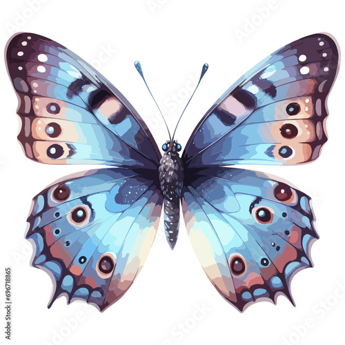 Butterfly with spotted wings isolated on transparent background
