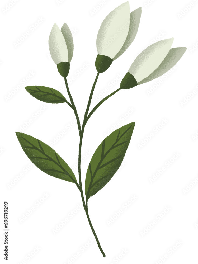 White Lily Flower Pastel With Textured Graphic Element White Lily Flower Pastel With Textured Graphic Element