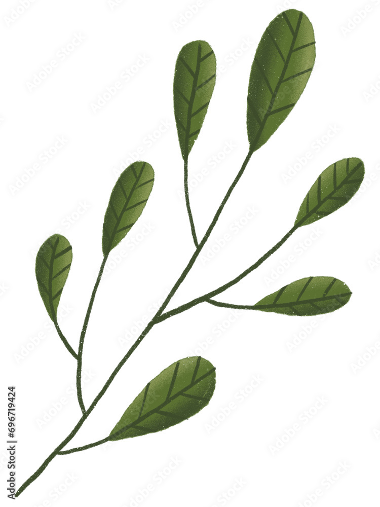 Fototapeta premium Green Leaf Pastel With Textured Graphic Element