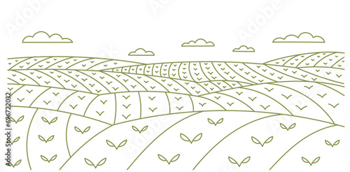 Young shoot field green landscape. Vector line. Editable outline stroke.
