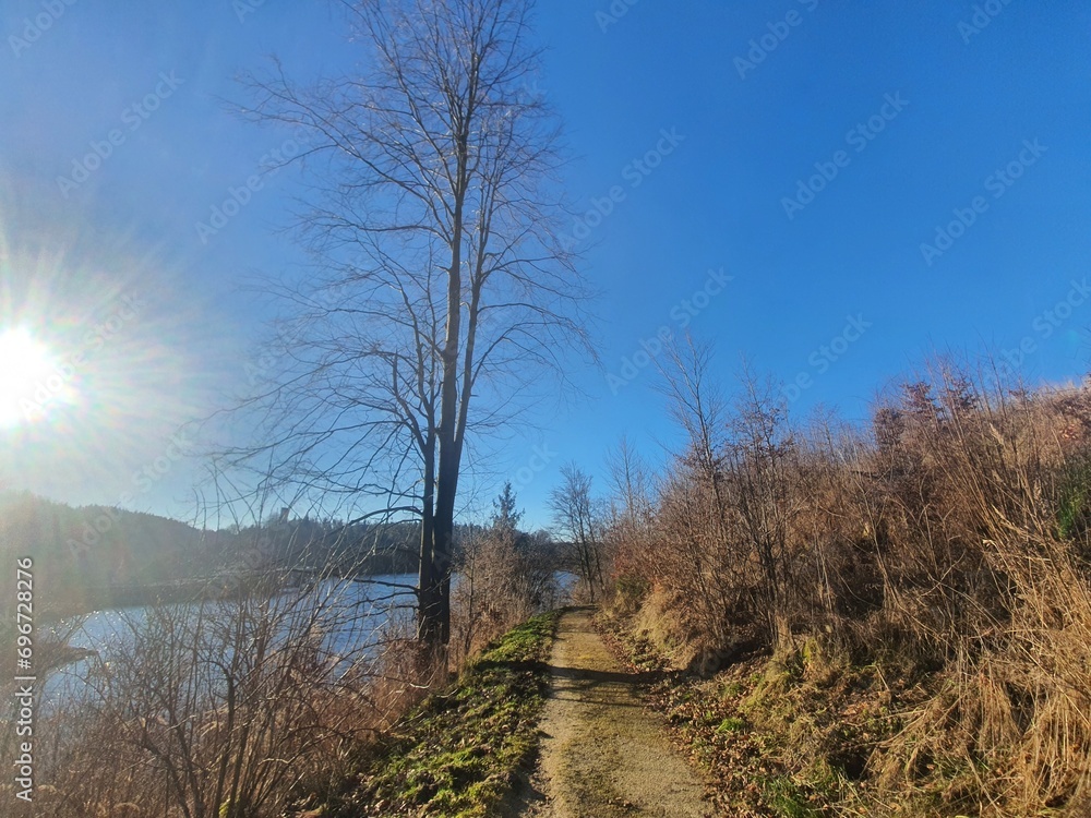 Idyllic nature scenery at shore at Lake Ottenstein in  Lower Austria, Waldviertel. Beautiful hiking trail near the lake on a sunny day with clear blue sky
