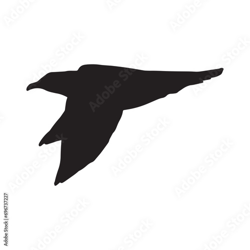 飛び立つ猛禽類　鳥のシルエットモノクロイラスト　 photo