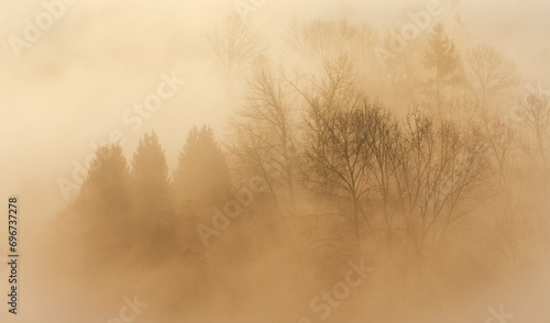 Fototapeta Naklejka Na Ścianę i Meble -  misty morning mist