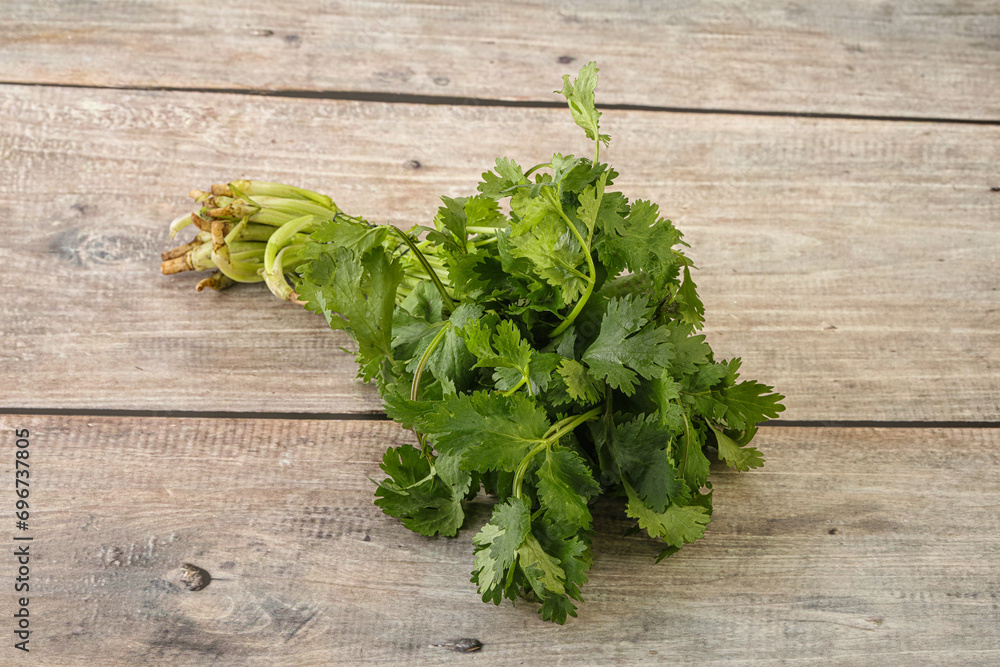 Green coriander leaves herb heap Green coriander leaves herb heap