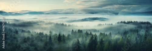 Foggy morning panorama of the forest covered with morning fog