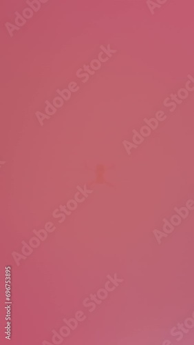 Aerial view of pink salt lake. Salt production facilities in saline evaporation ponds. Red and pink water due to Dunaliella salina in a mineral lake. Vertical video photo
