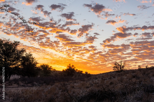 African sunrise at Urikaruus in the Kgalagadi Transfrontier Park, Kalahari photo