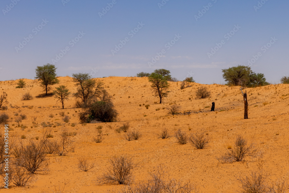 Arid Kalahari Landscape, upper dune road in the Kgalagadi Transfrontier Park Arid Kalahari Landscape, upper dune road in the Kgalagadi Transfrontier Park