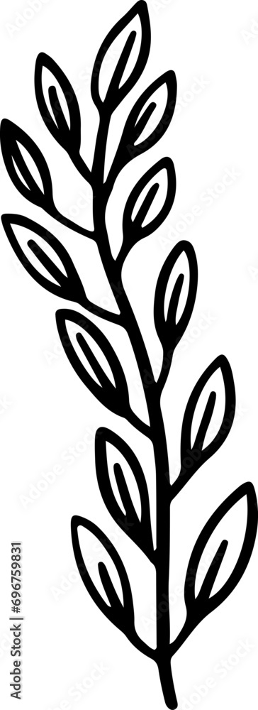 doodle sketch plant with leaves floral 