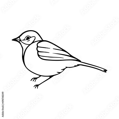 Bird Cartoon Doodle Illustration. Black line little birds, different poses, flying. Happy character. Hand drawn flat abstract icon. Modern trendy vector illustration