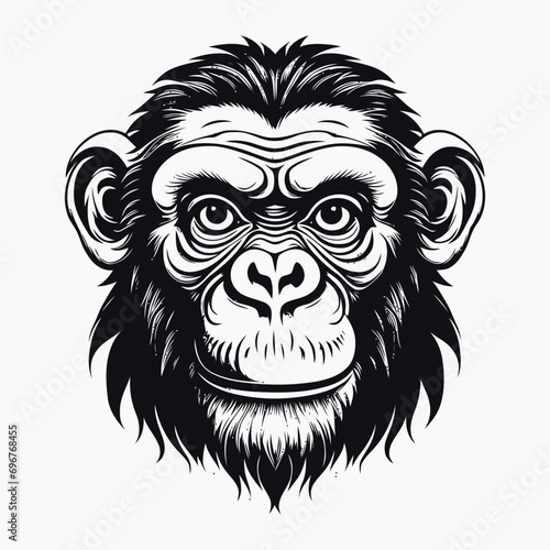 monkey vector logo simple realistic nature primate africa gorilla marmoset chimpanzee art drawing illustration wild animal 