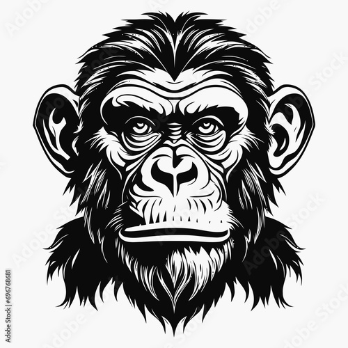 monkey vector logo simple realistic nature primate africa gorilla marmoset chimpanzee art drawing illustration wild animal 