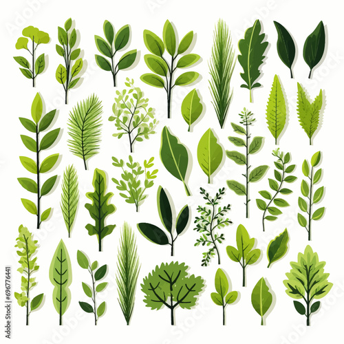 leaf, pattern, floral, vector, plant, seamless, nature, flower, illustration, leaves, spring, design, green, tree, wallpaper, summer, decoration, branch, ornament, art, foliage, flowers, set, element,