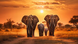 Family of elephants on walk. Elephant family in nature
