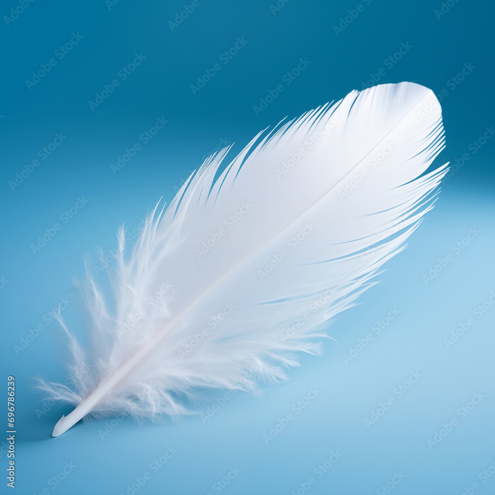 white feather on blue background white feather on blue background