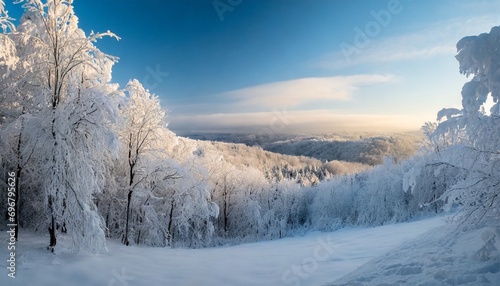 stunning panorama view of snowy landscape in winter winter wonderland forest snowscape snow nature © Bryson