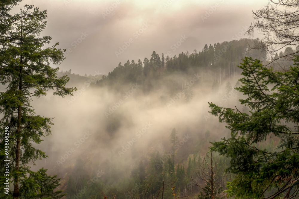 Dunst im Schwarzwald