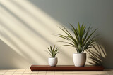 Interior limpio y sencillo de una pared con plantas en el frente. Sombras y luces .