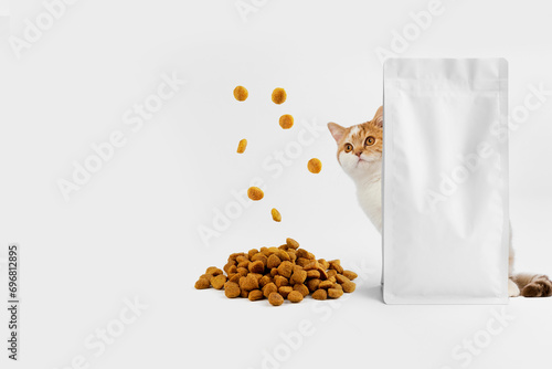 Pet food. Hungry cat with food pouch and flying food isolated on white background. photo
