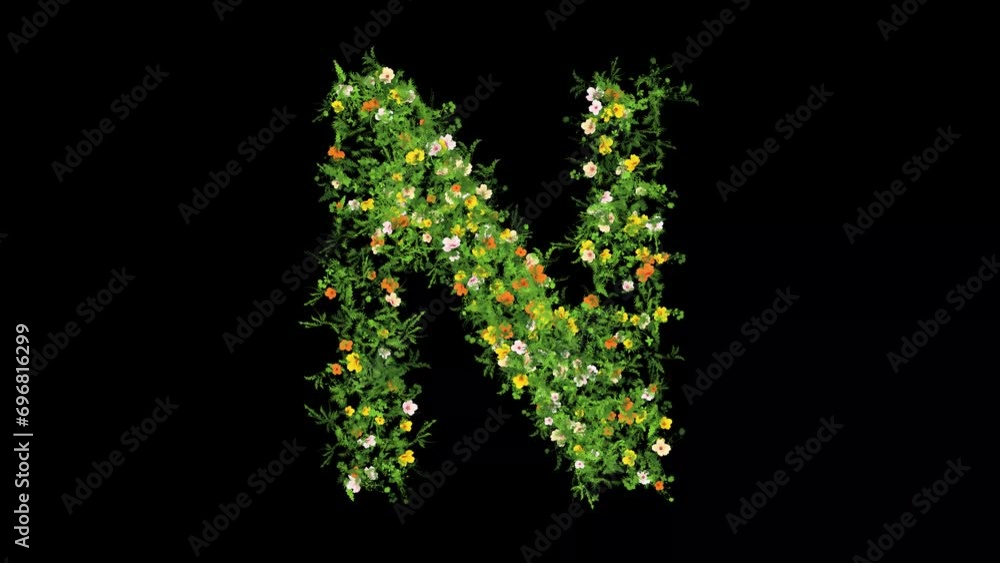 English alphabet N with grass and colorful flowers on plain black background English alphabet N with grass and colorful flowers on plain black background