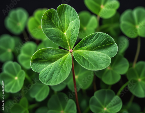 Lucky Charm