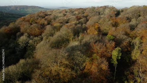 Crickley Hill Cotswolds Autumn Woodland Landscape Aerial View UK