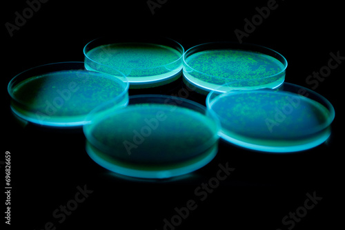 glowing petri dishes
