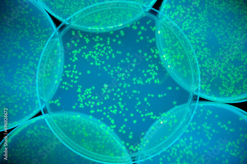 fluorescent bacteria background
