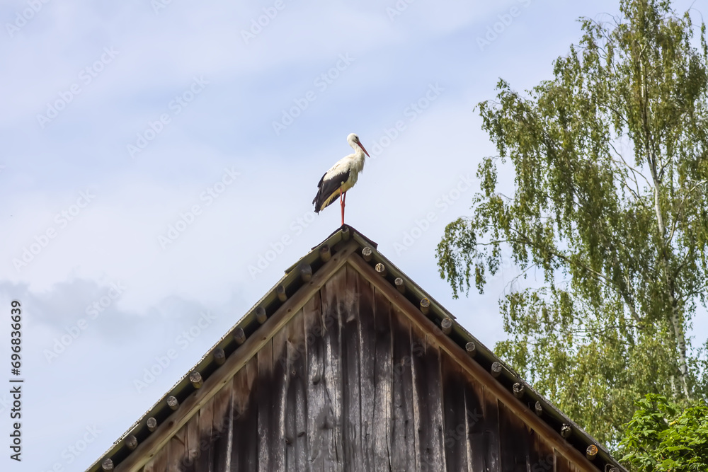 Stork on the roof of the old wooden barn. Stork on the roof of the old wooden barn.
