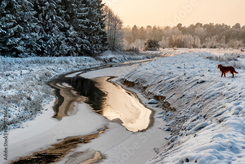 Obraz na płótnie Podlaskie rzeki zimą, Nareśl, Narew, Biebrza, Polska w salonie