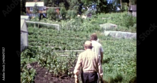 People walk in green beds with vegetables, herbs in summer. Growing organic fruits in rural areas. Vegetables greenhouses. Agriculture gardening. 4k vintage footage. Retro archival film. 1980s archive