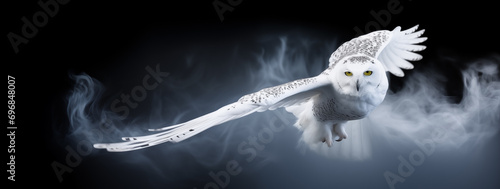 Wildlife Elegance. Snowy Owl Gliding Through Mist photo