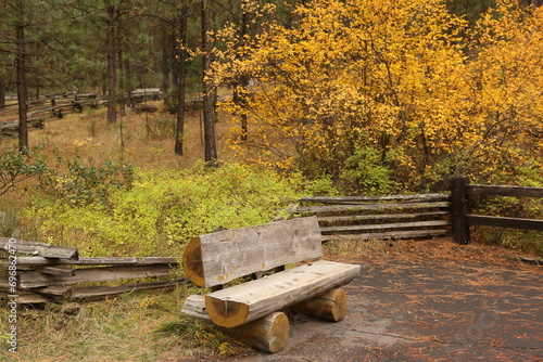 Wood bench in the fall