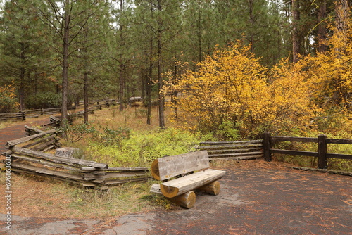 Wood bench in the fall