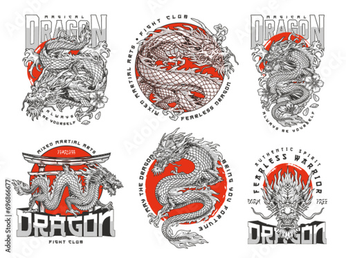 MMA dragon set flyer colorful