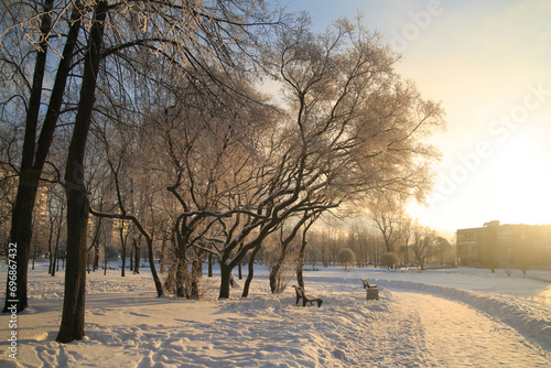 Winter morning city landscape of a park with tree branches in frost illuminated by the sun. © ksi