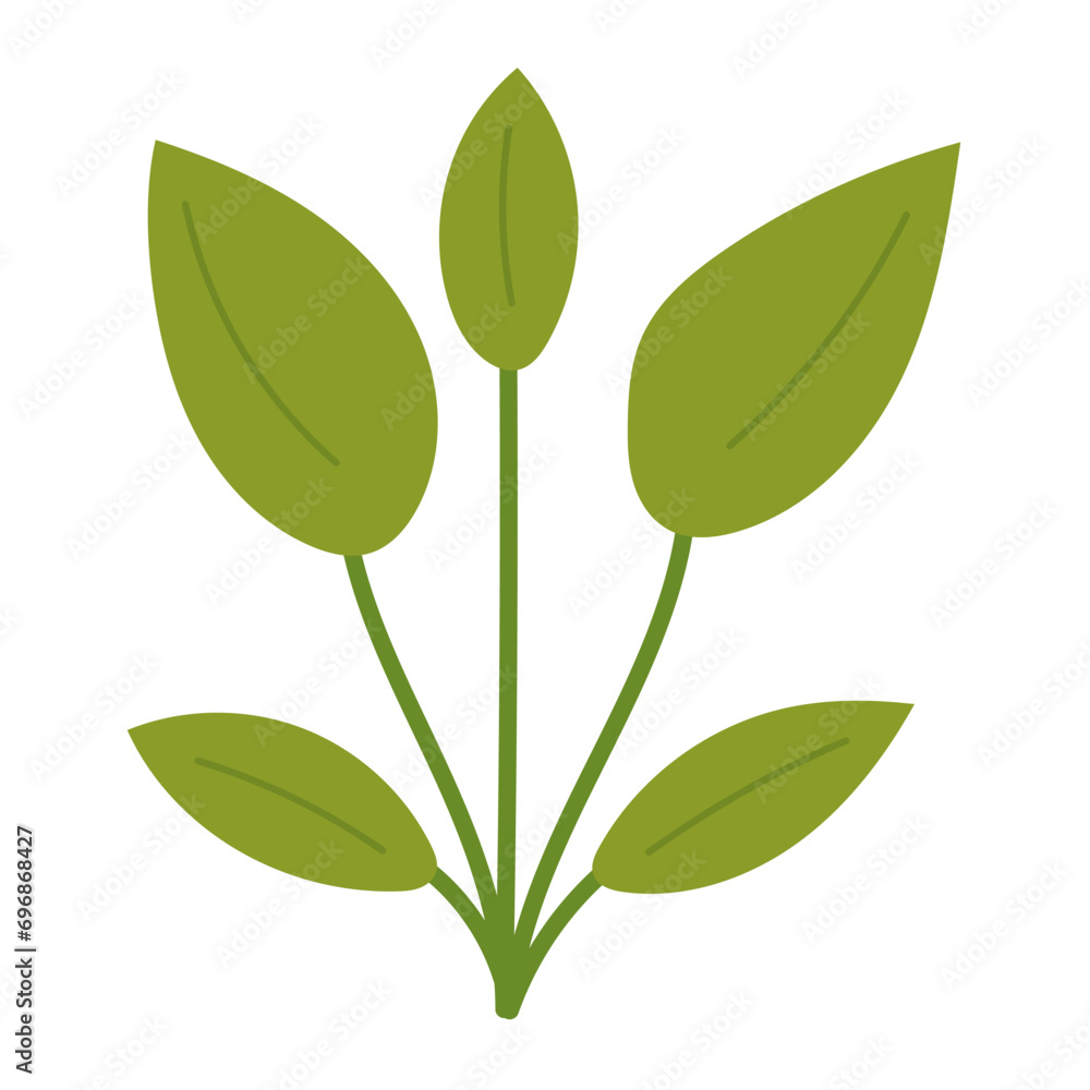 Leaf plant element for beautiful design. Simple form. Vector drawing. Leaf plant element for beautiful design. Simple form. Vector drawing.