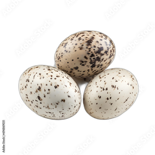 Bird eggs isolated on transparent or white background, png