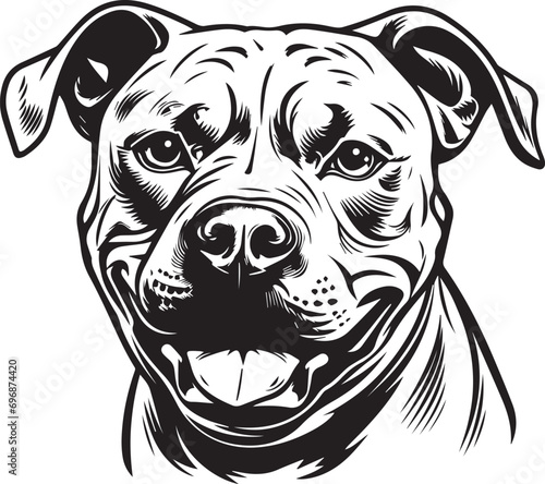 american staffordshire bull terrier