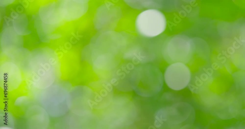 blur, blurred, bokeh, soft, abstract, light, green, leaf, texture, animation, blurry, defocused, effect, elegant, glow, glowing, illuminated, illumination, layout, lens, loop, optic, overlay, particle