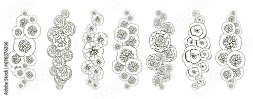 Tree for architectural floor plans. Entourage design. Various trees, bushes, and shrubs, top view for the landscape design plan. Vector illustration.