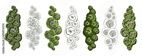 Tree for architectural floor plans. Entourage design. Various trees, bushes, and shrubs, top view for the landscape design plan. Vector illustration.